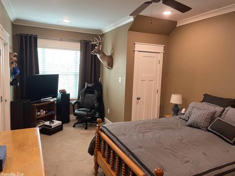 195 Acklin Gap Rd, Conway, AR 72032 photo 20