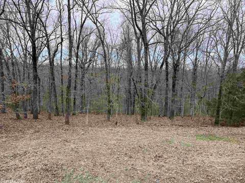 195 Acklin Gap Rd, Conway, AR 72032 photo 31