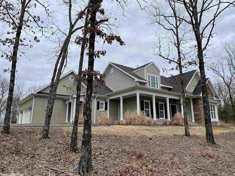 195 Acklin Gap Rd, Conway, AR 72032 photo 1
