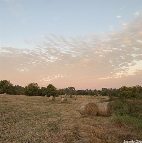 781 Circle S Rd, Norman, AR 71960 photo 7