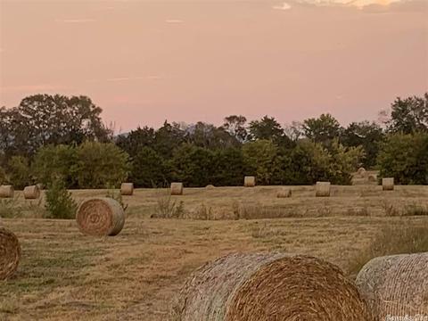 781 Circle S Rd, Norman, AR 71960 photo 6