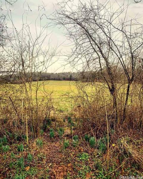 781 Circle S Rd, Norman, AR 71960 photo 31
