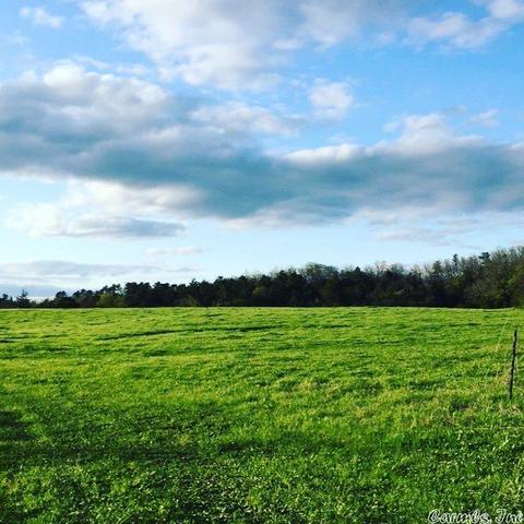 781 Circle S Rd, Norman, AR 71960 photo 11