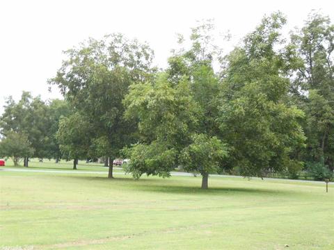16305 Rogers Ln, Scott, AR 72142 photo 39