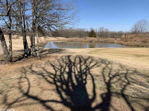 1116 Aberdour, Cabot, AR 72023 photo 35