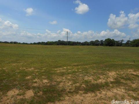1233 Bent Tree, Searcy, AR 72143 photo 4