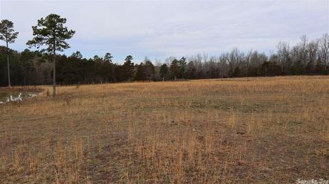 tbd Wild Cherry Rd, Bexar, AR 72515 photo 3