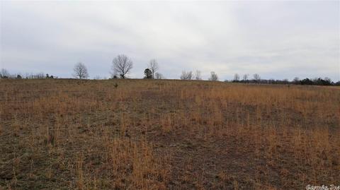 tbd Wild Cherry Rd, Bexar, AR 72515 photo 36