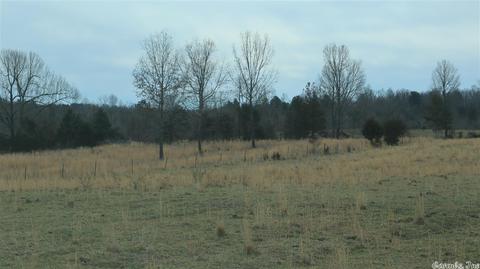 tbd Wild Cherry Rd, Bexar, AR 72515 photo 34