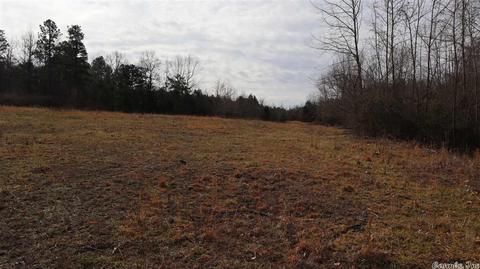 tbd Wild Cherry Rd, Bexar, AR 72515 photo 25