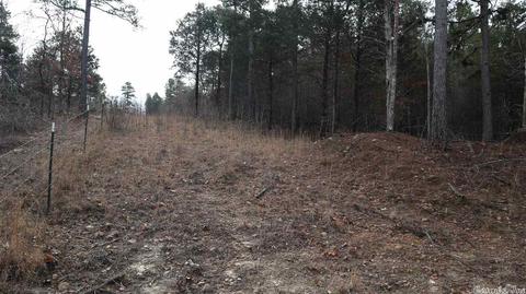 tbd Wild Cherry Rd, Bexar, AR 72515 photo 22