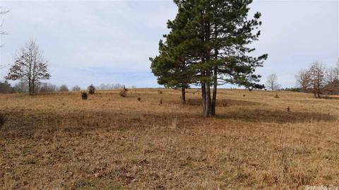 tbd Wild Cherry Rd, Bexar, AR 72515 photo 30