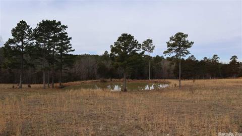 tbd Wild Cherry Rd, Bexar, AR 72515 photo 4