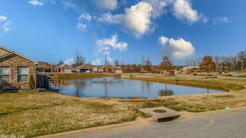 2732 Brighton Pl, Benton, AR 72015 photo 30