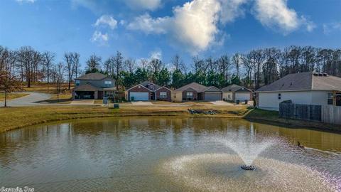 2732 Brighton Pl, Benton, AR 72015 photo 31