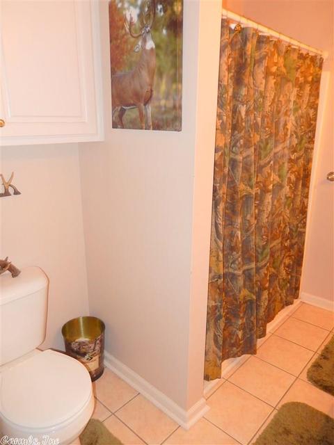 17315 Oak Forest Dr, Mabelvale, AR 72103 photo 22