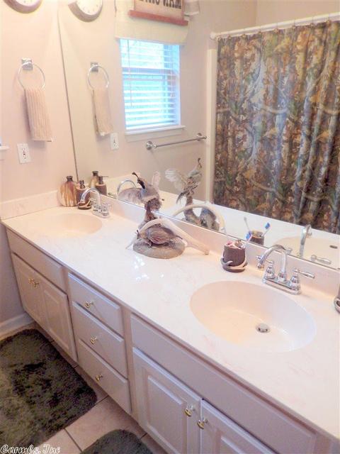 17315 Oak Forest Dr, Mabelvale, AR 72103 photo 23