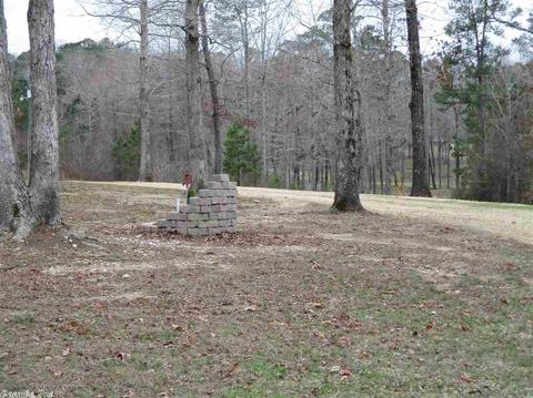 9746 Springhill Farms Dr, Alexander, AR 72002 photo 38