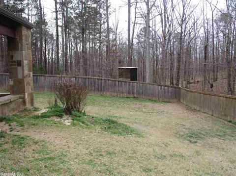 9746 Springhill Farms Dr, Alexander, AR 72002 photo 12