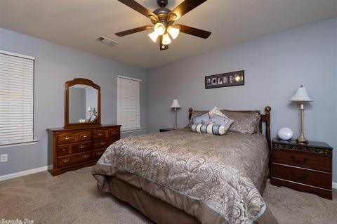 1006 Clinton Ct, Alexander, AR 72002 photo 14