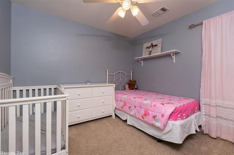 1006 Clinton Ct, Alexander, AR 72002 photo 18