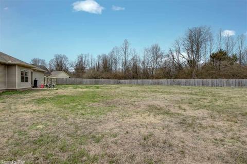 97 Willow Lake Dr, Ward, AR 72176 photo 40