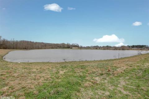 97 Willow Lake Dr, Ward, AR 72176 photo 39