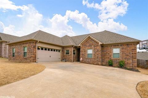745 Mango Loop, Austin, AR 72007 photo 1