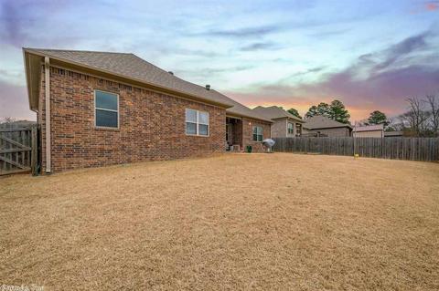 745 Mango Loop, Austin, AR 72007 photo 29
