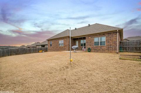 745 Mango Loop, Austin, AR 72007 photo 28