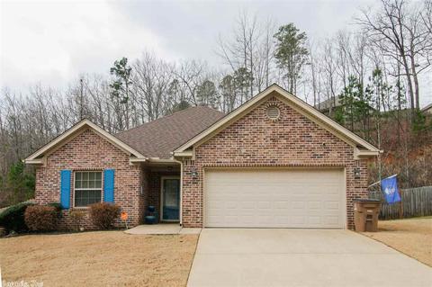 3982 Eastern Slope Dr, Alexander, AR 72002 photo 1
