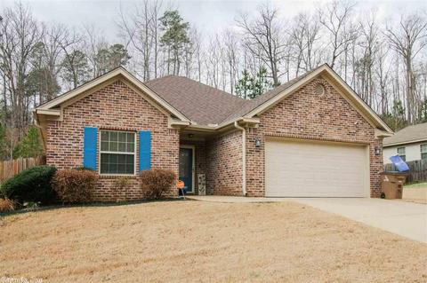 3982 Eastern Slope Dr, Alexander, AR 72002 photo 4