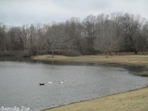 116 Hidden Lake Cv, Beebe, AR 72012 photo 21