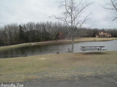 116 Hidden Lake Cv, Beebe, AR 72012 photo 37