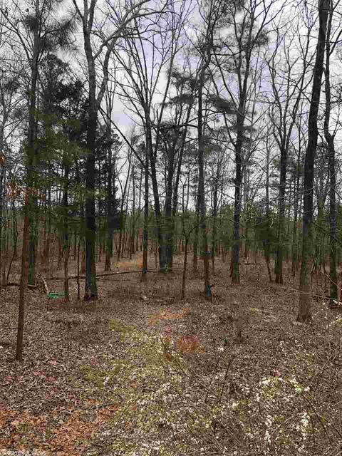 11279 Hinds Rd, Benton, AR 72019 photo 19