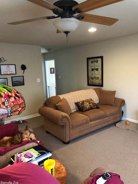 11279 Hinds Rd, Benton, AR 72019 photo 9
