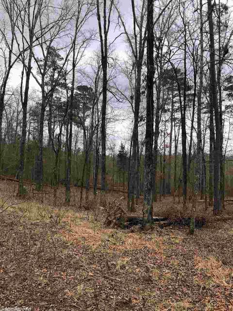 11279 Hinds Rd, Benton, AR 72019 photo 18