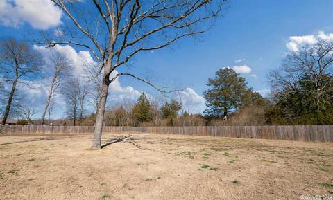 29 Colt Loop, Greenbrier, AR 72058 photo 31