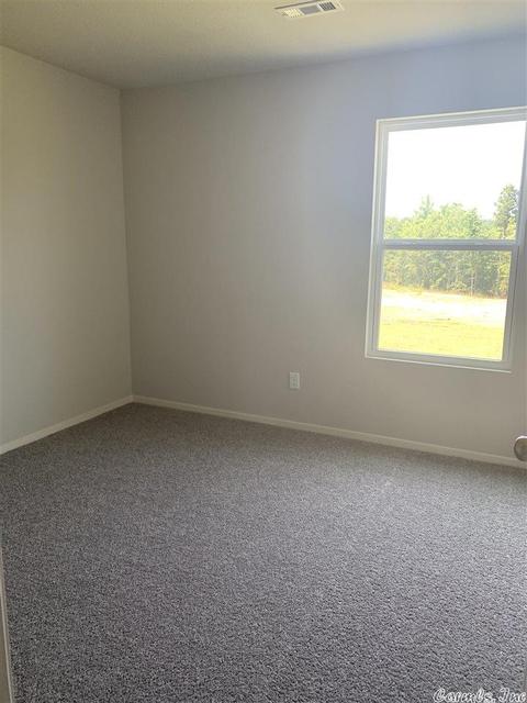 2072 River Birch Trl, Bauxite, AR 72011 photo 12
