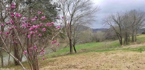 107 Bishop Ln, Mount Ida, AR 71957 photo 10