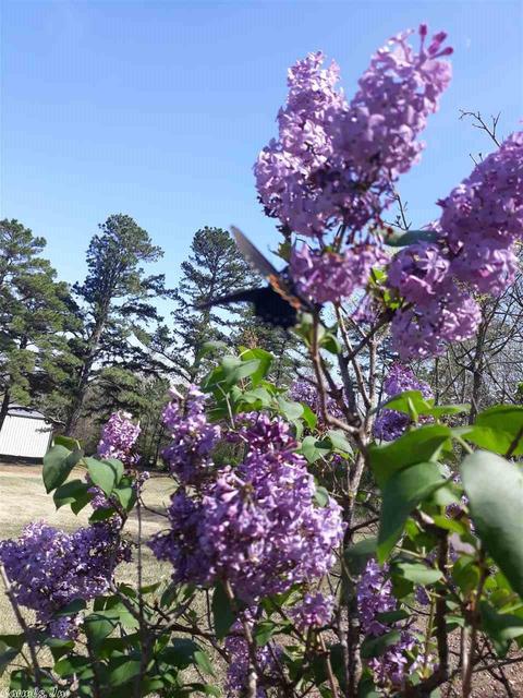 8043 E 254 Hwy, Dennard, AR 72629 photo 29