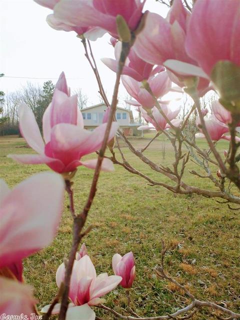 8043 E 254 Hwy, Dennard, AR 72629 photo 30