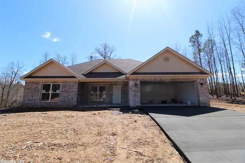 527 Reuben Dr, Alexander, AR 72002 photo 3