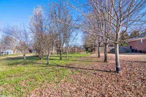 61 Spring St, Quitman, AR 72131 photo 24