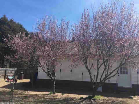 61 Spring St, Quitman, AR 72131 photo 26
