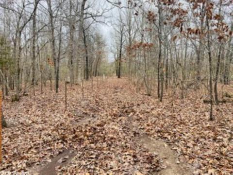 60 Traw Ln, Mammoth Spring, AR 72554 photo 31