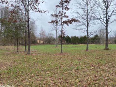 60 Traw Ln, Mammoth Spring, AR 72554 photo 23