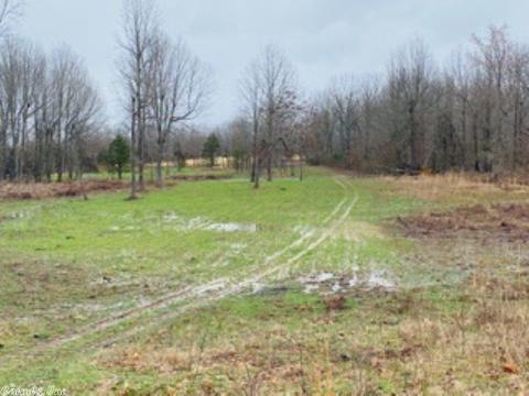60 Traw Ln, Mammoth Spring, AR 72554 photo 25