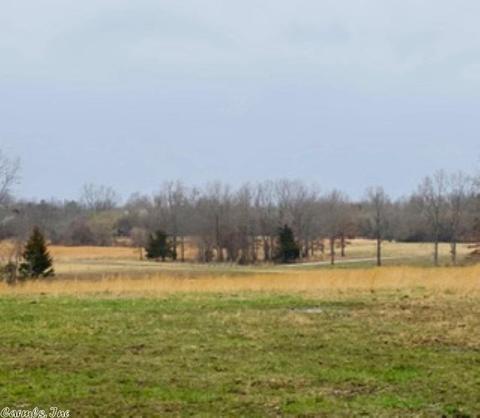 60 Traw Ln, Mammoth Spring, AR 72554 photo 18