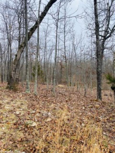 60 Traw Ln, Mammoth Spring, AR 72554 photo 28